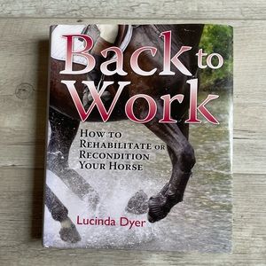 Back to Work - How to Rehabilitate or Recondition Your Horse.